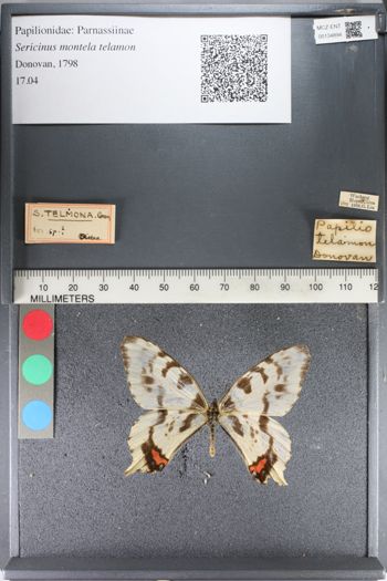 Media type: image;   Entomology 134894